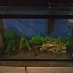 Aquarium Only $80 🐟🐠