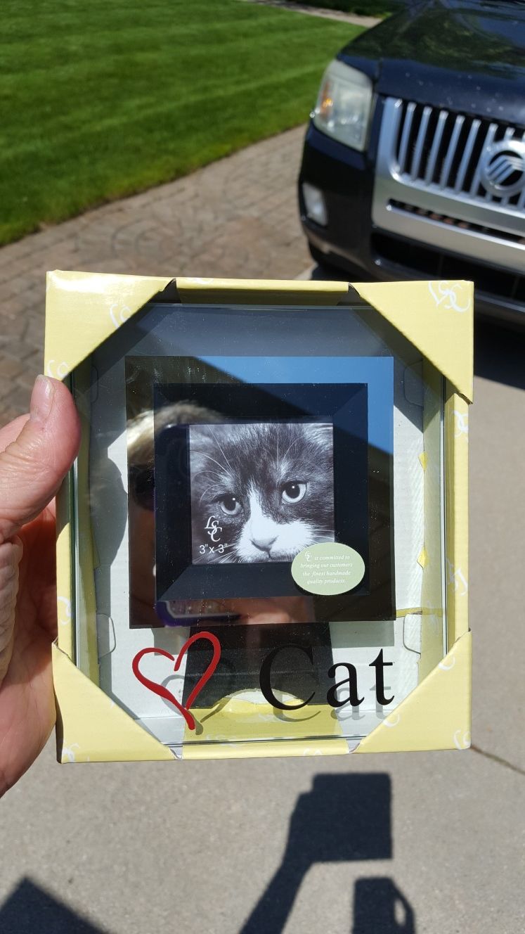 Cat picture frame, new