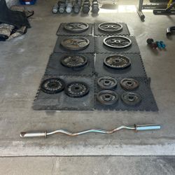 olympic weights and dumbells, elliptical and treadmill 