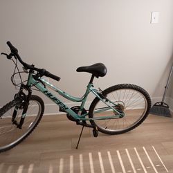 Adult bicycle