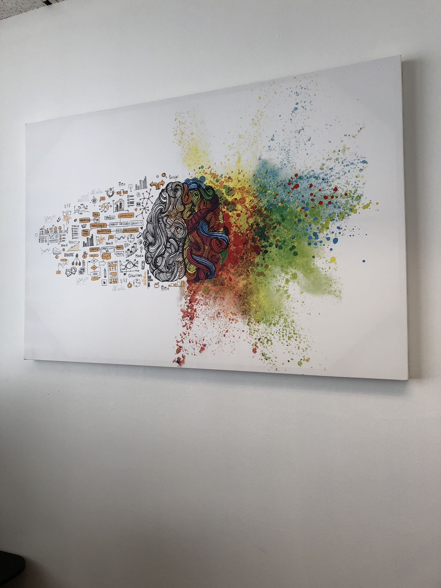 32x48 Art Canvas - Left vs Right Brain (Logic / Art). Fun Piece!