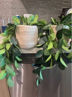 Boho plastic house plants