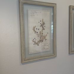 Botanical Art - Restoration Hardware