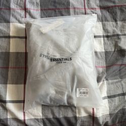 Essentials Grey Hoodie (large)