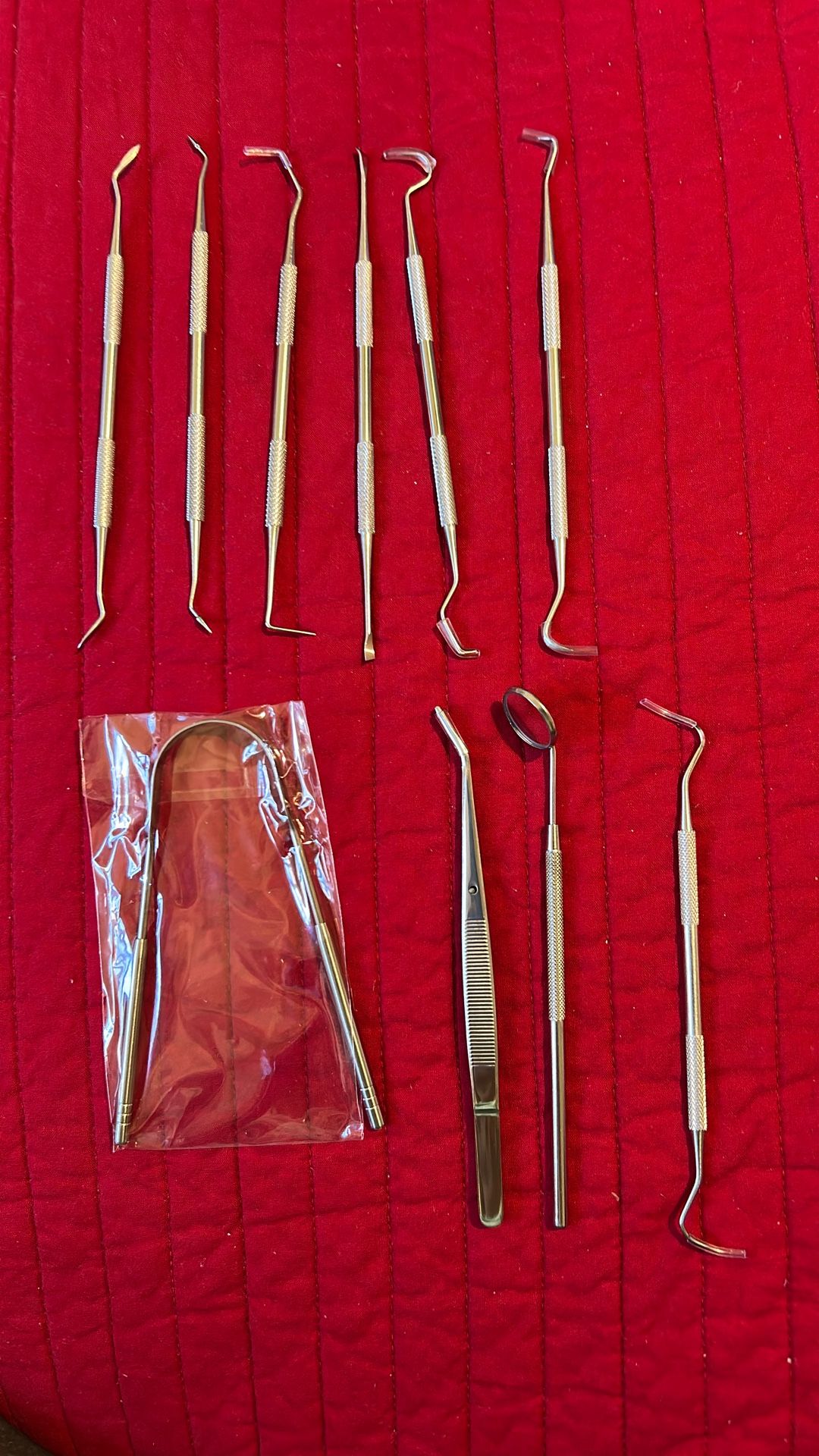 Dental Care Tool Kit W/Storage Case