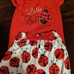 THE ABSOLUTE CUTEST 2PC Lady Bug Set Toddler Girl Set 3-4T