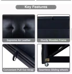 Beautiful Rearly Black Color Fox Leather Sofa