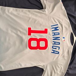 Shota Imanaga jersey