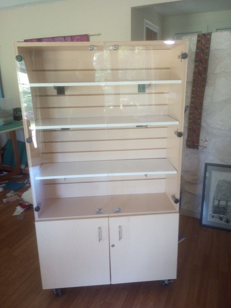 Sturdy Rolling Cabinet/Display Case