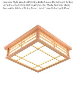 Japanese Ceiling lamp NEW