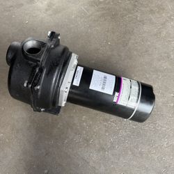 Wayne 1-1/2 HP Cast Iron Quick-Prime Lawn-Sprinkler Pump