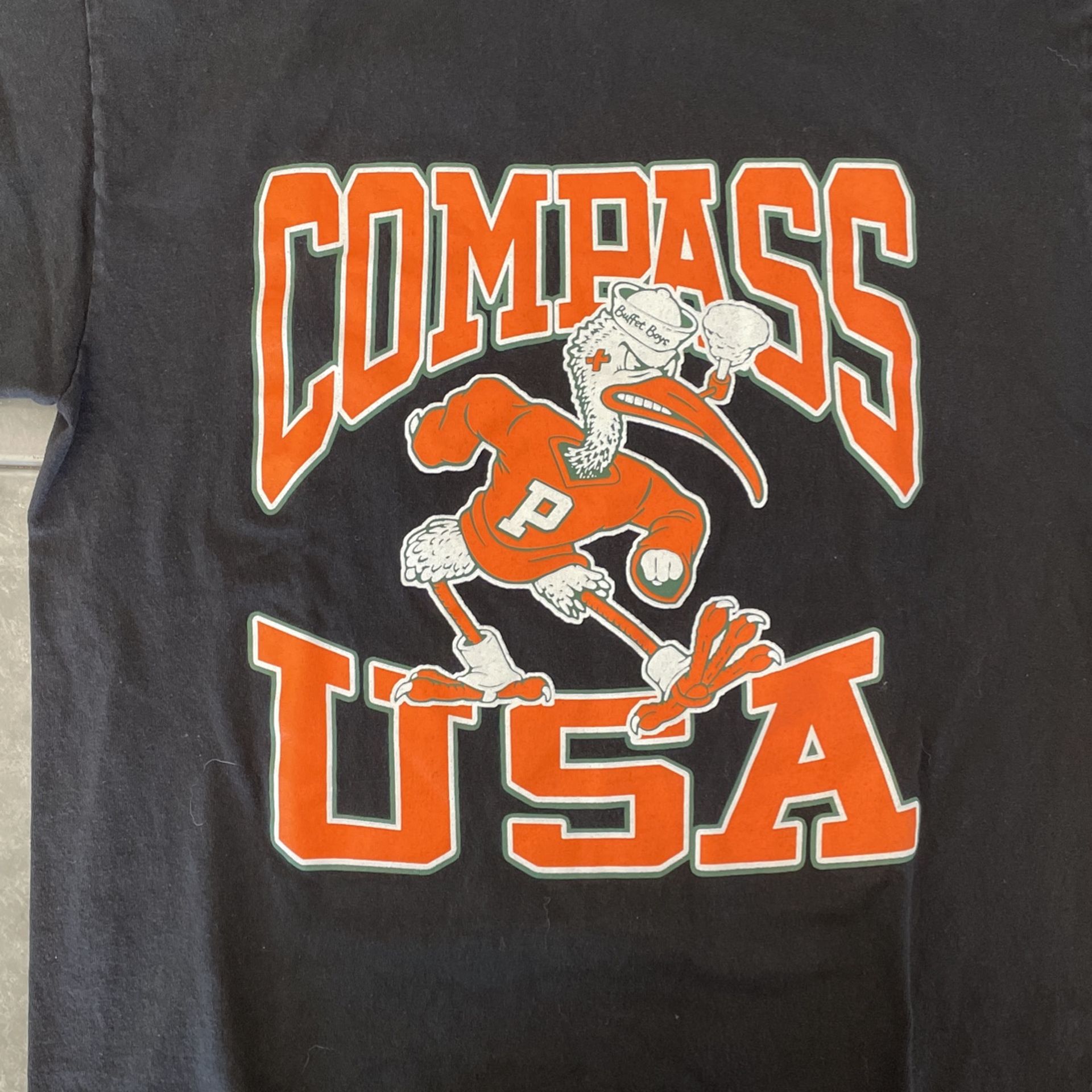 compass usa tee