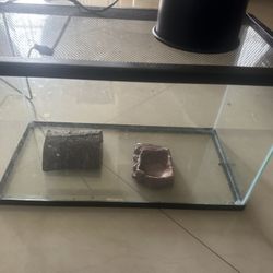 10 Gallon Terranium With Light And Top