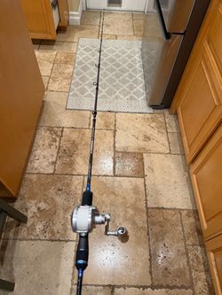 Accurate BV 300 SPJ Reel and Slow Pitch Rod