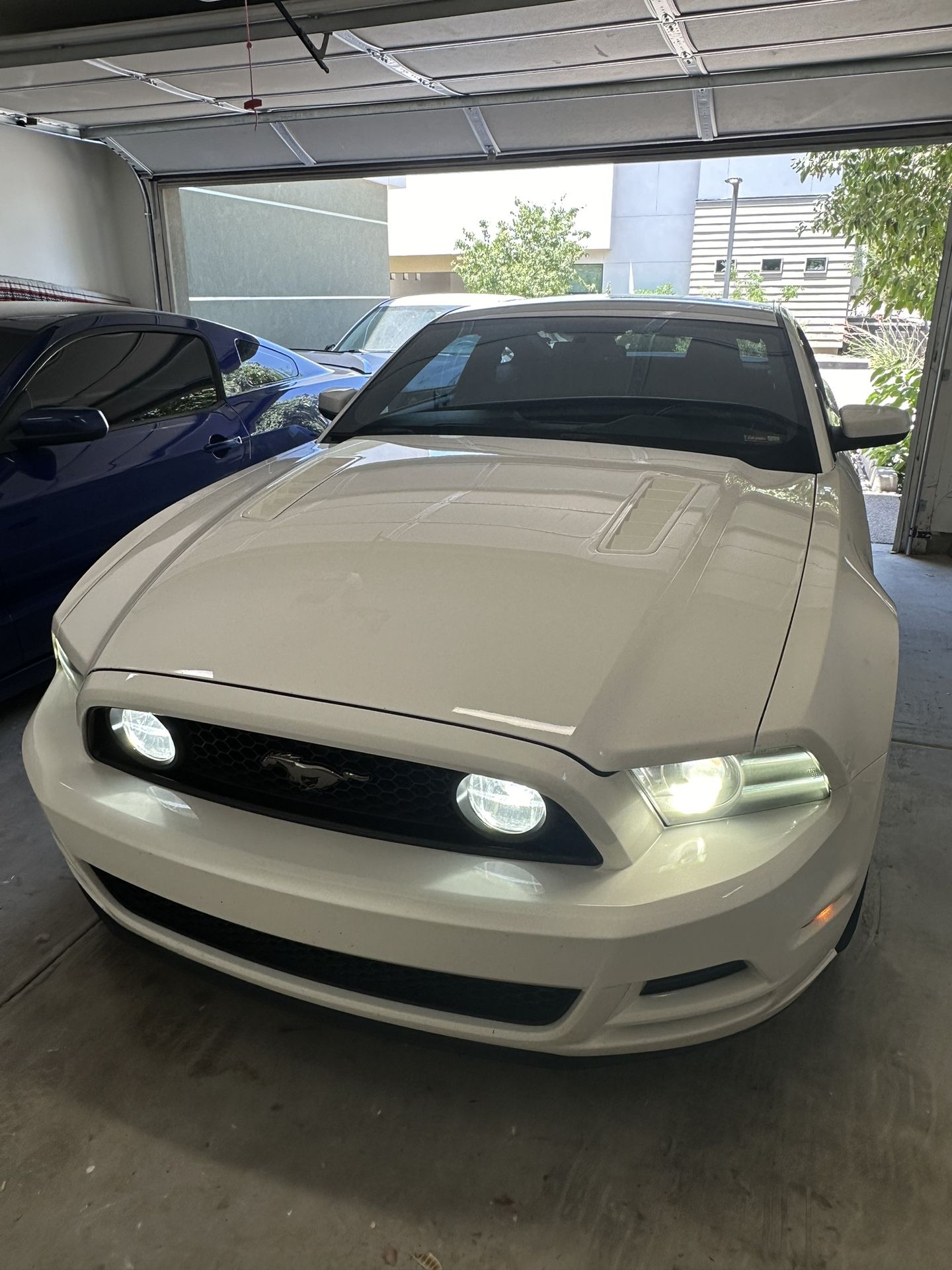 2013 Ford Mustang