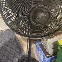 Fan 30$ 