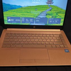 HP/Laptop /Rose Pink 