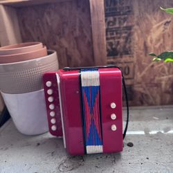 Vilac Accordion
