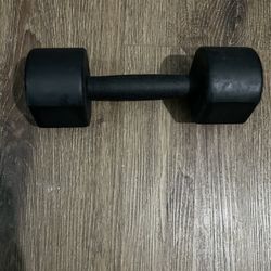 1 10lb Free Weight Black 