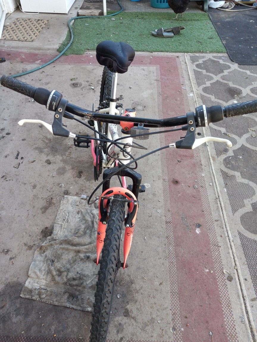 Bike AVECO 24inch Mountain Like New 12speed Shifting And Preak Very Good