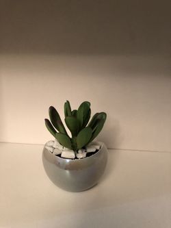 Fake succulents