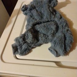 Brand new small dog coat $10.00