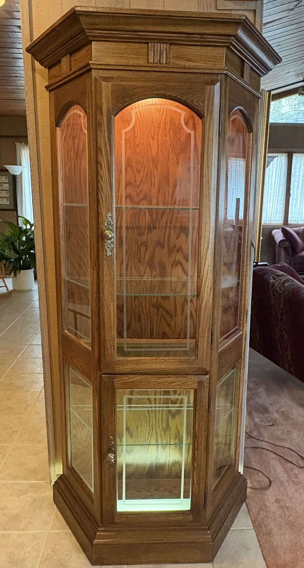 Curio Cabinet - Lit With 4 Glass Shelves