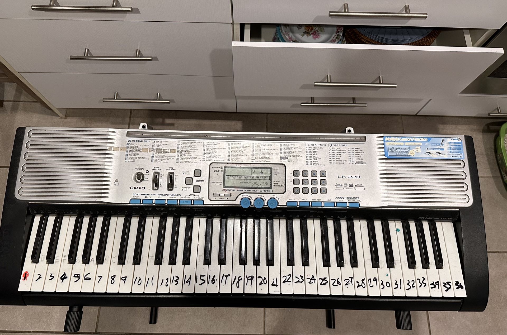 Órgano Casio LK 220