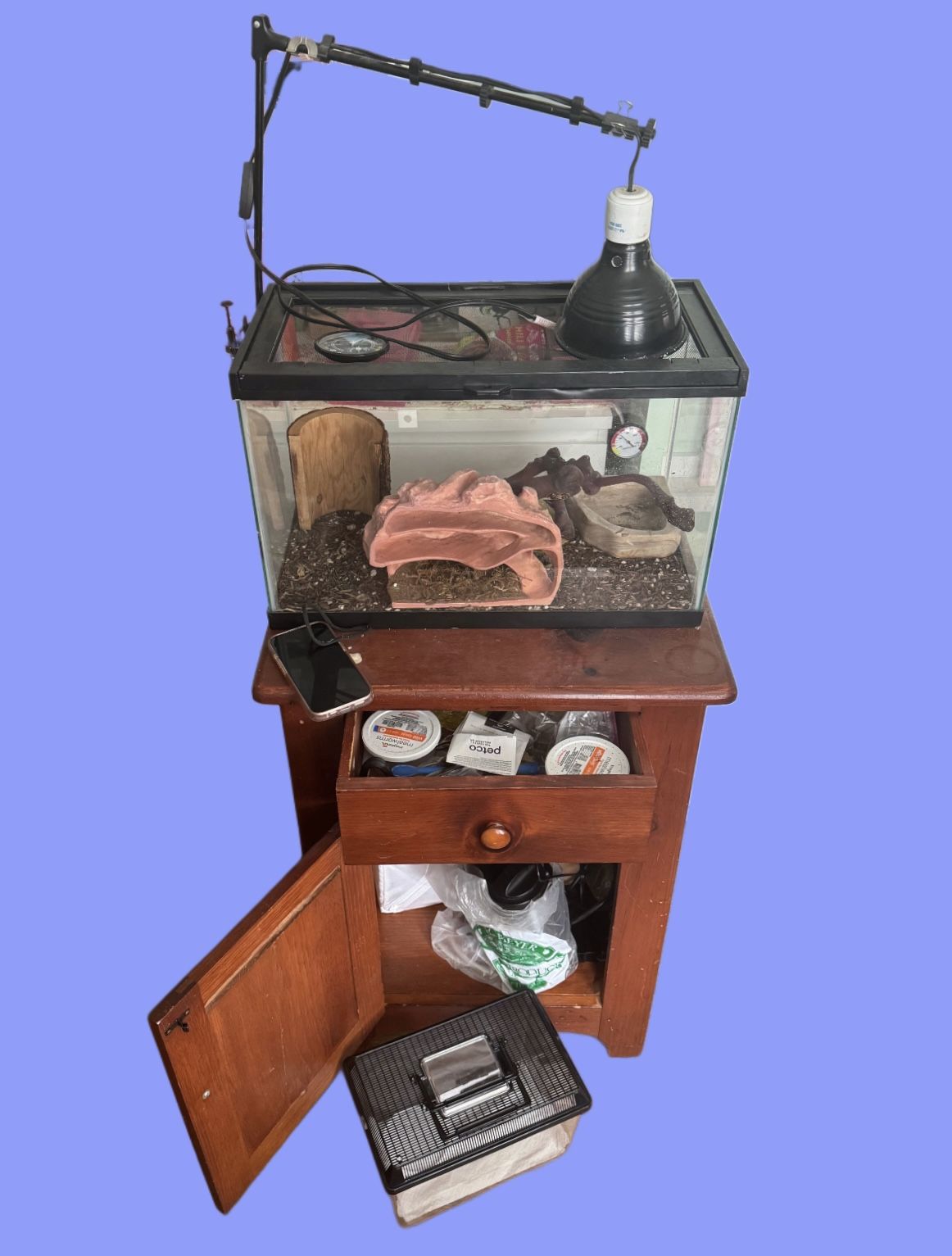 Reptile Terrarium (Aquarium, Lizard, Lamp, Mister, Heat Pad, Etc)