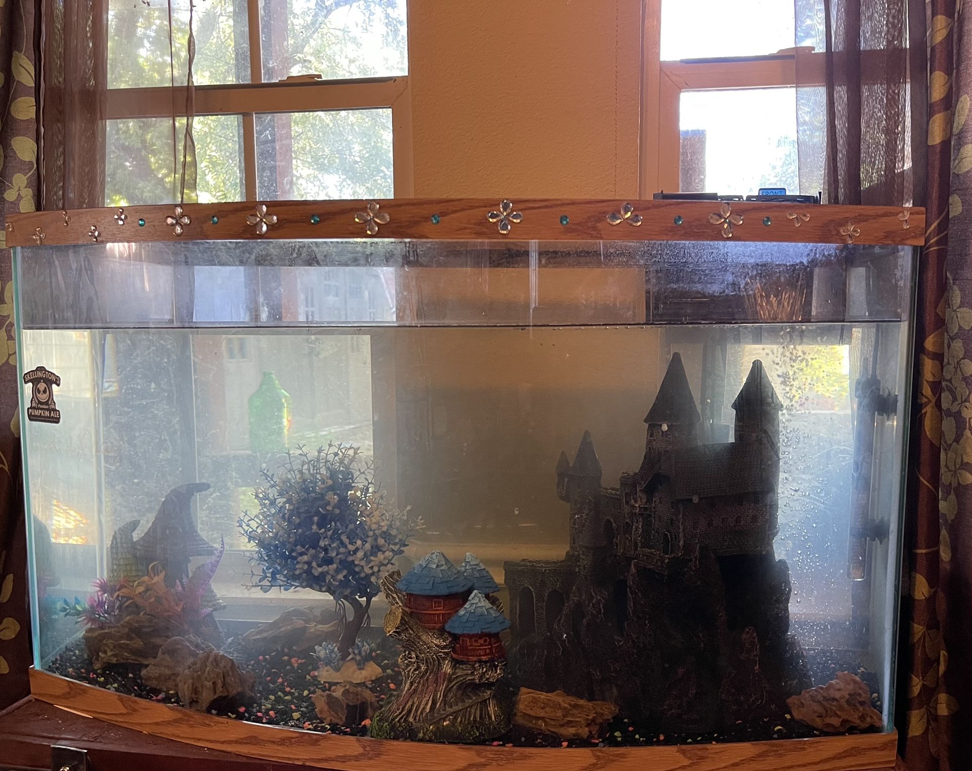 55 Gallons Fish Tank 