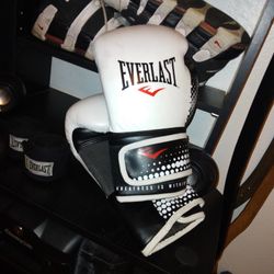 Everlast Boxing Gloves 