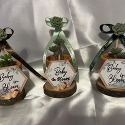 Succulent Party Favors - Great For Baby showers 