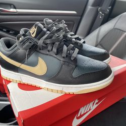 Nike Dunk Size 8.5