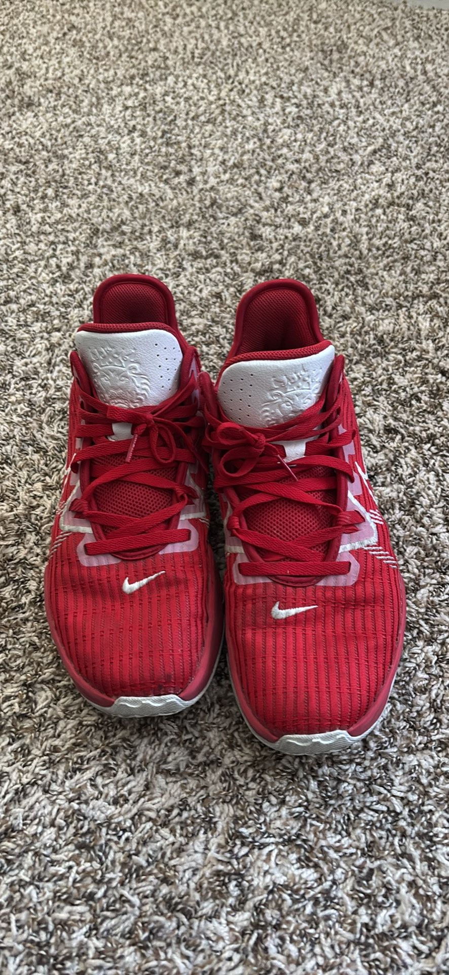 Nike LeBron James witness III size 12