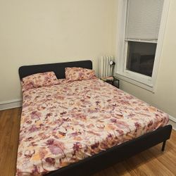 Bed + Mattress