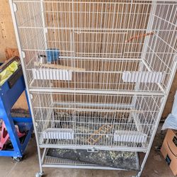 Large Bird Cage
