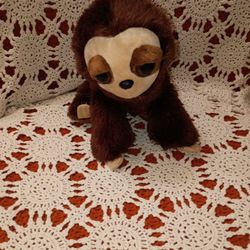 Aurora Dreamy Eyes Marley The Sloth