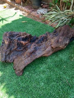 Driftwood For Aquariums Terrariums Decor