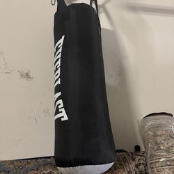 Everlast punching bag