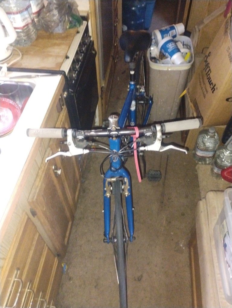 Schwinn Super Sport LE 21 Speed 