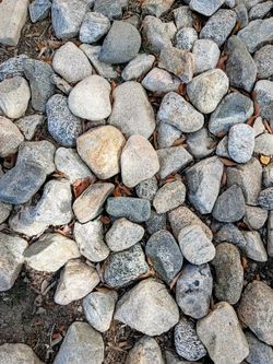 Large Multicolored River Rocks