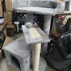 Cat Horse Play Ground