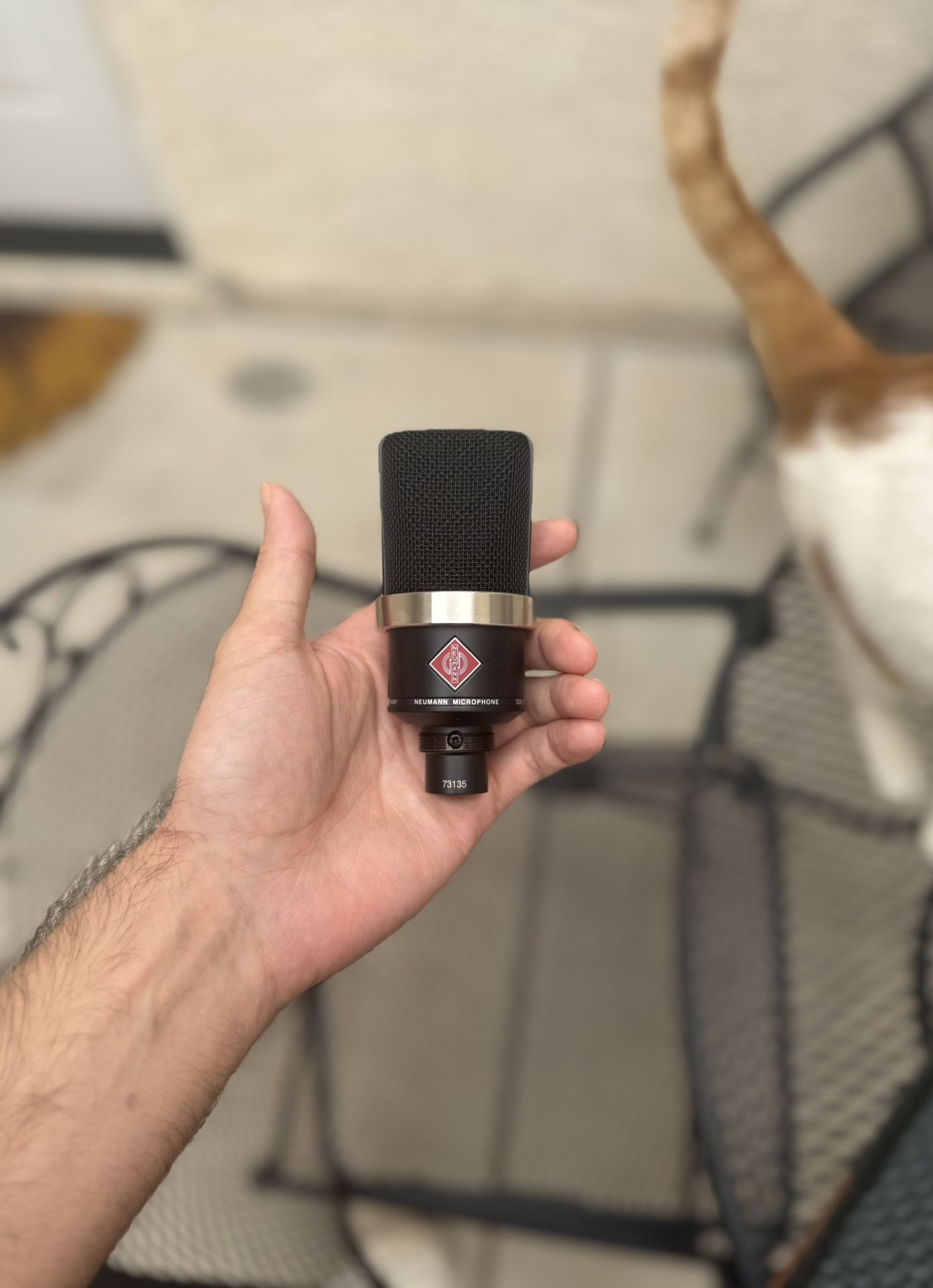 Neumann TLM 102 Microphone