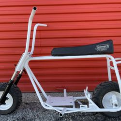 Custom Doodle Bug Ready Roller (Priced To Sale FAST!)