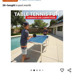 Ping Pong Table