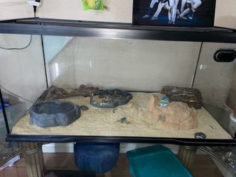 Large Glass Reptile Terrarium with Accessories