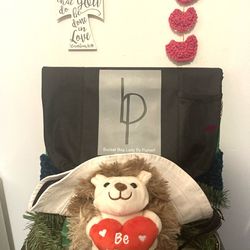 NEW***”Hedgehog Baghatti”