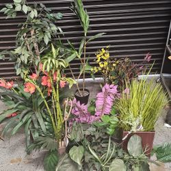 🔥 Massive One-Day Liquidation Sale — EVERYTHING MUST GO! Tools, Office Furniture, Electronics & More 