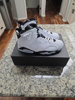 Brand New Air Jordan 6