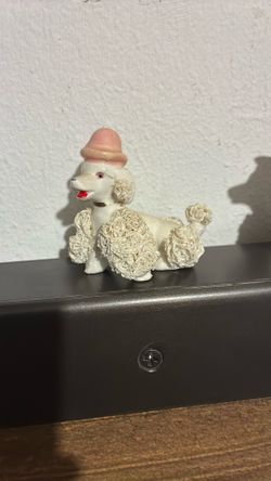 1950S Spaghetti Poodles
